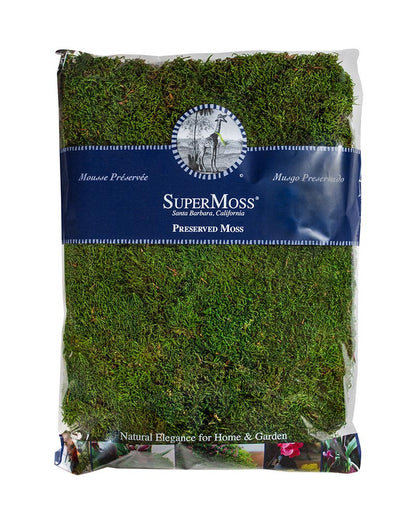 Preserved Sheet Moss