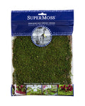 Preserved Sheet Moss