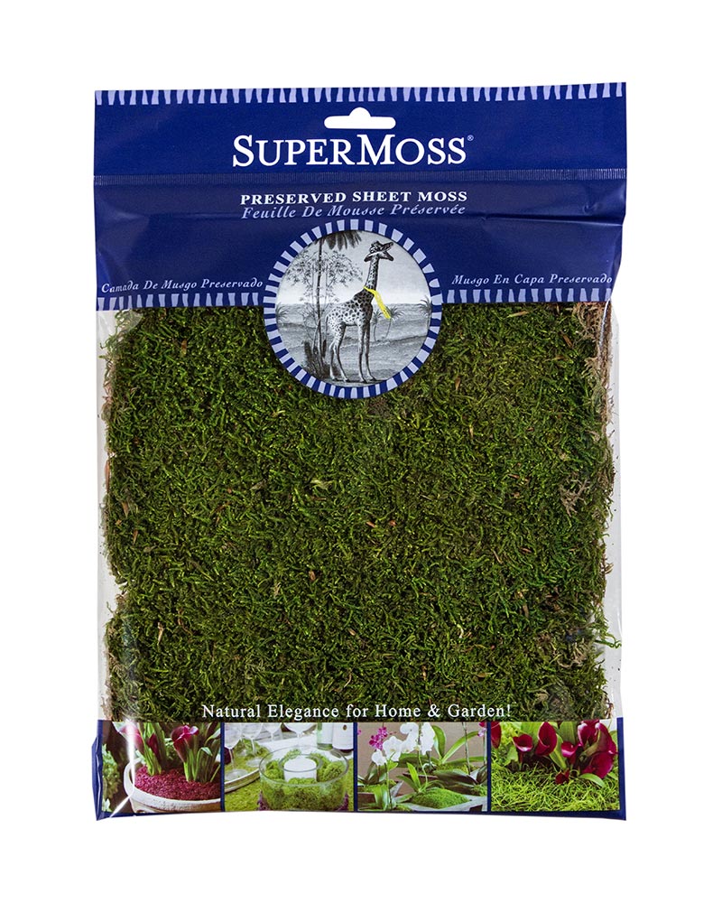 Preserved Sheet Moss