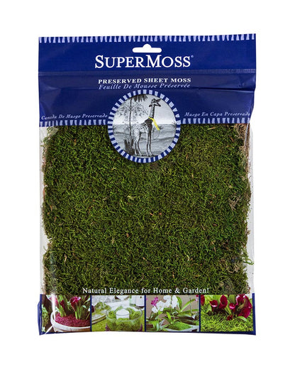 Preserved Sheet Moss