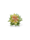 MINI SUCCULENT