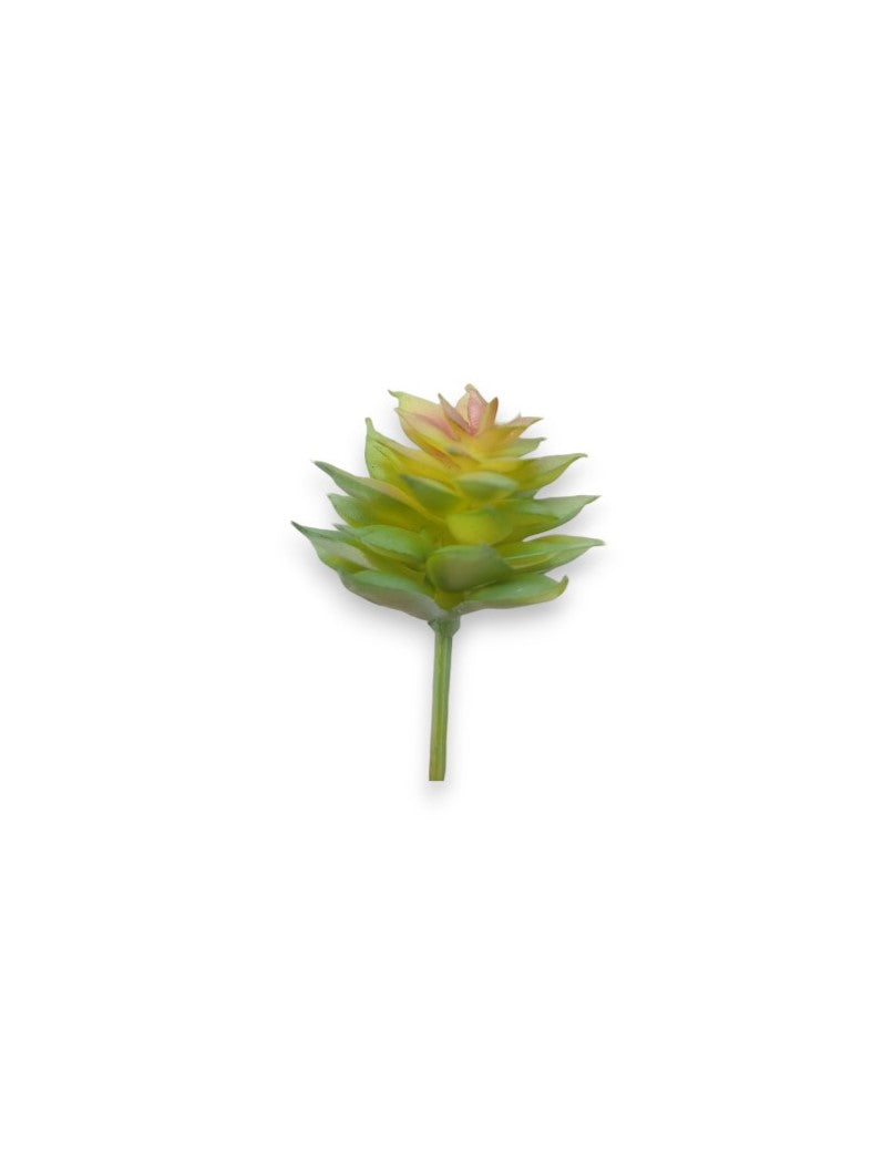 MINI SUCCULENT