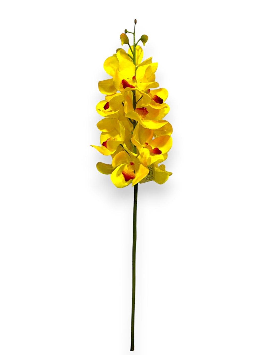 Vanda Orchid 27"