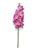 Vanda Orchid 27"