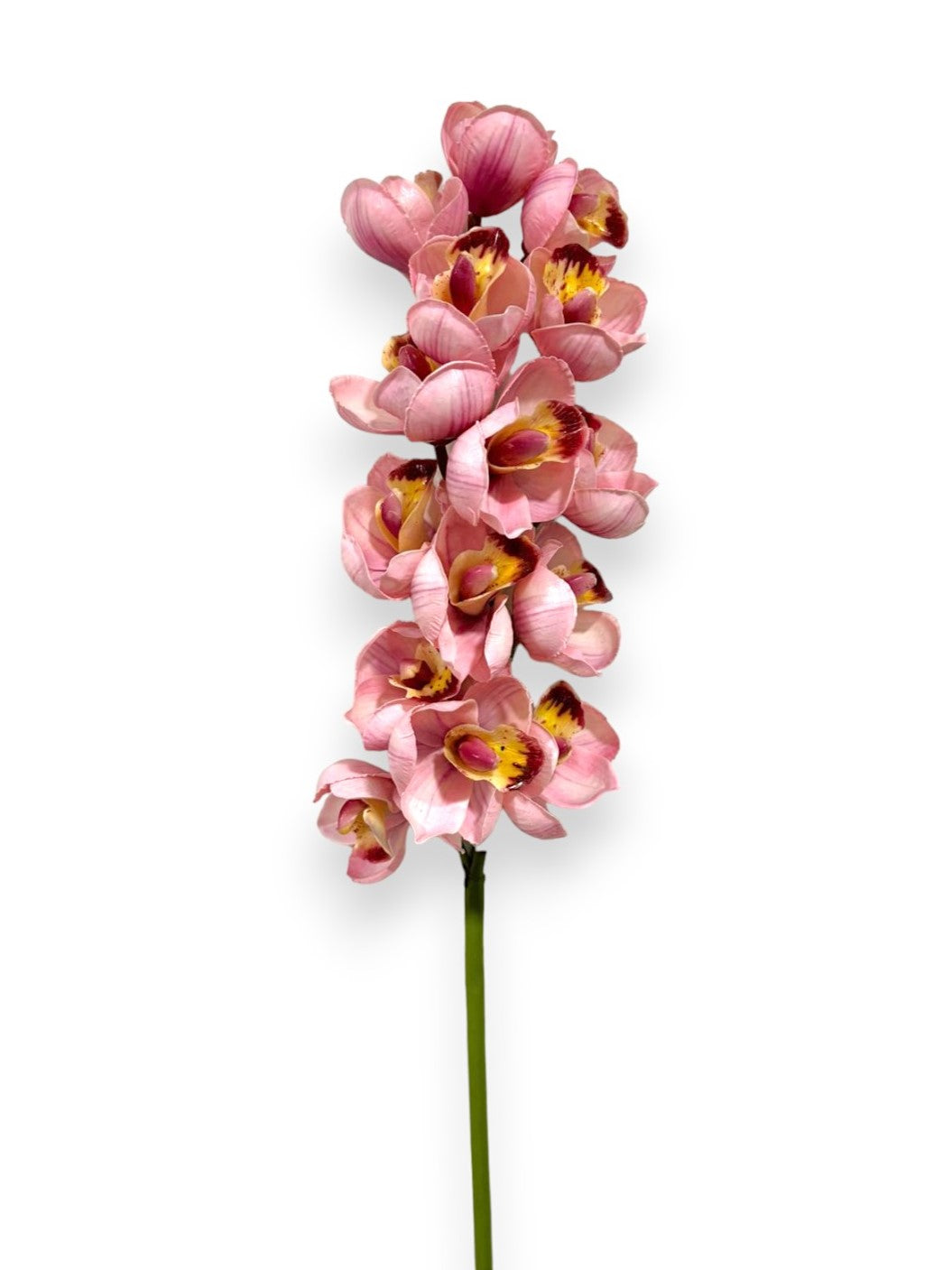 ORCHID CYMB.X15F 29"
