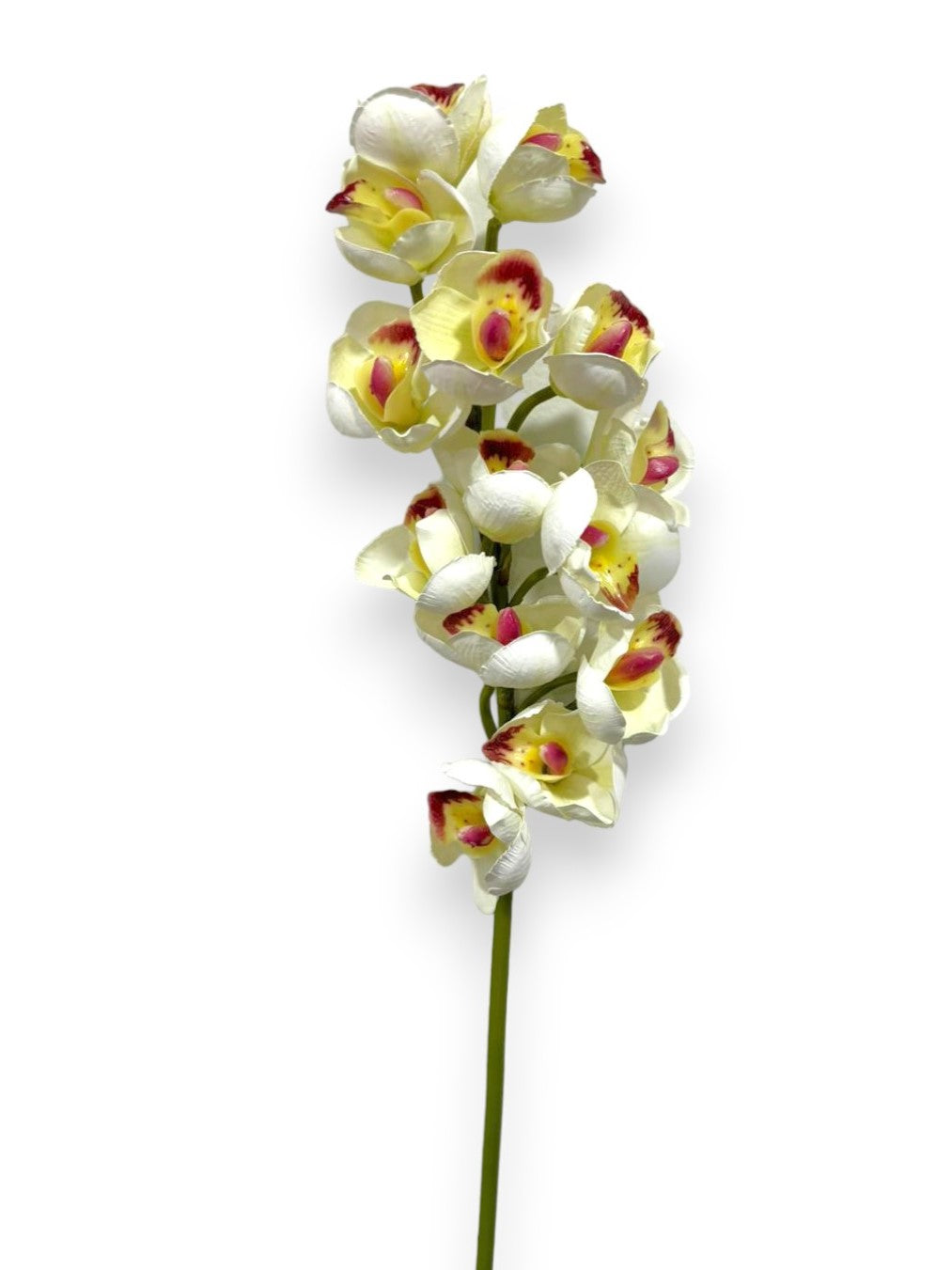 ORCHID CYMB.X15F 29"