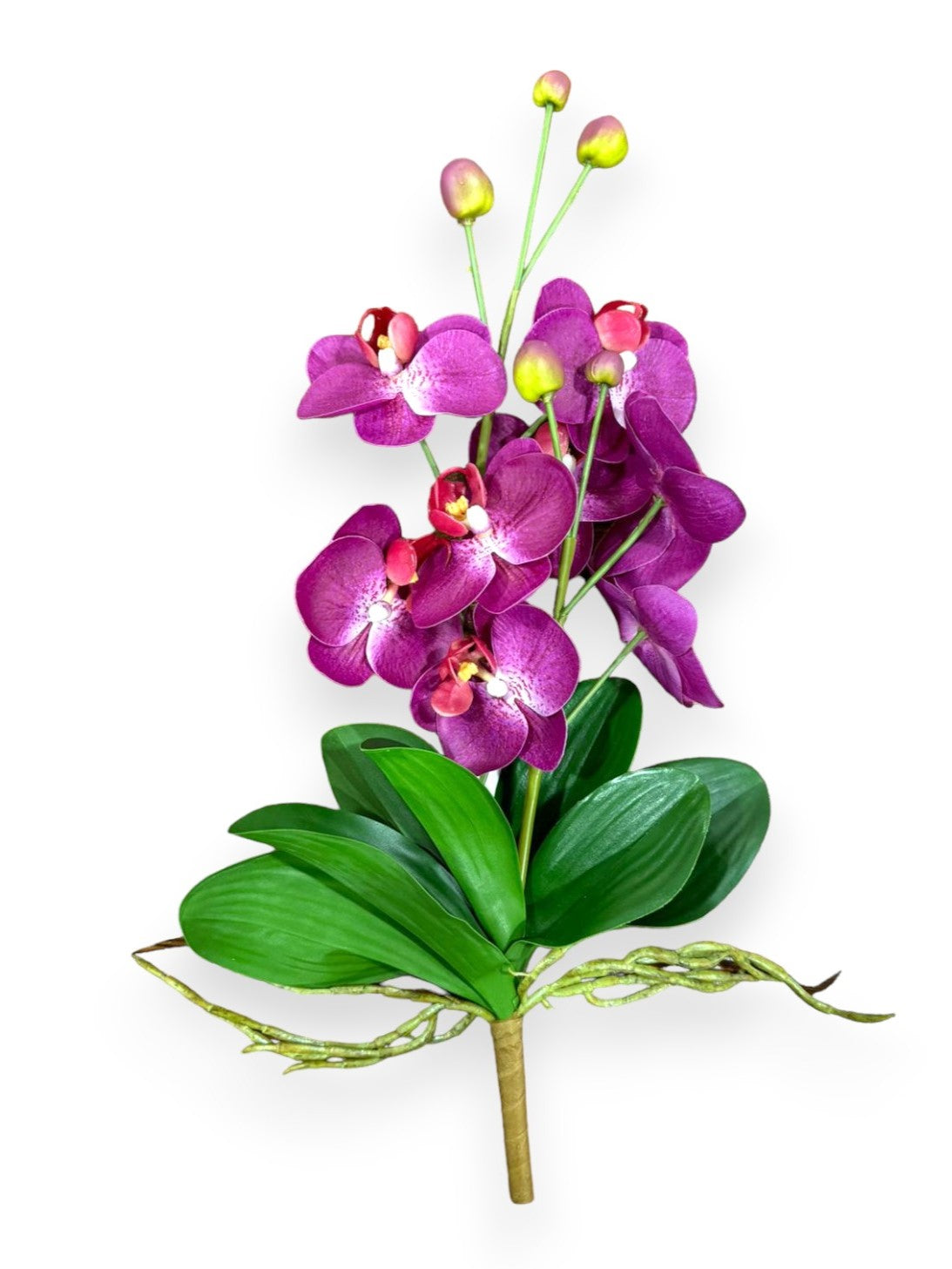 ORCHID PHAL W/LEAVES – Chan's Silk Flowers, inc