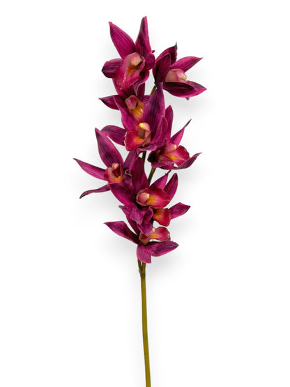 ORCHID CYMB.X9F 30"