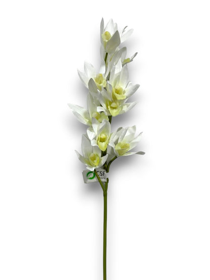 ORCHID CYMB.X9F 30"