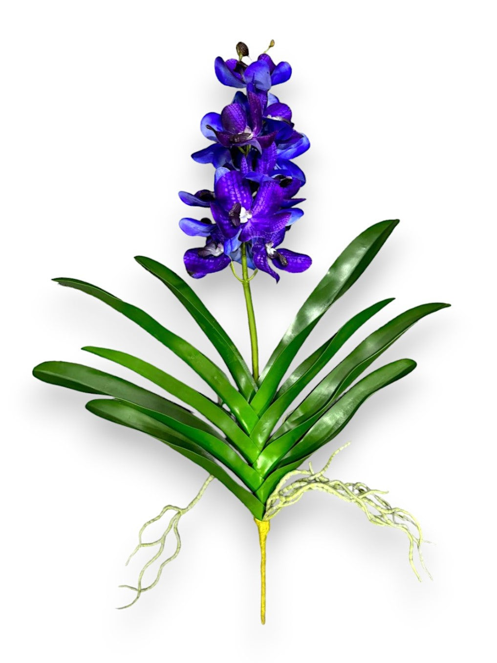NAT. TOUCH. VANDA ORCHID 25"