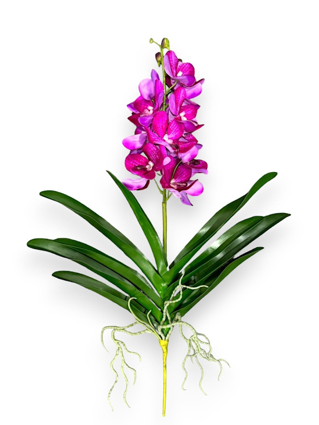 NAT. TOUCH. VANDA ORCHID 25"
