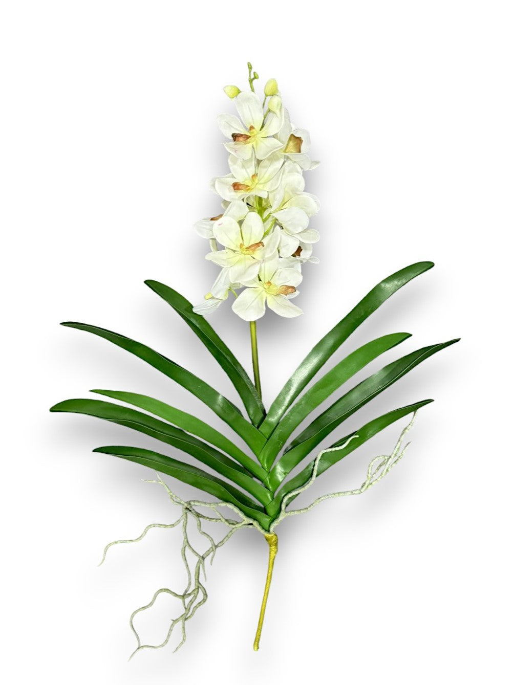 NAT. TOUCH. VANDA ORCHID 25"