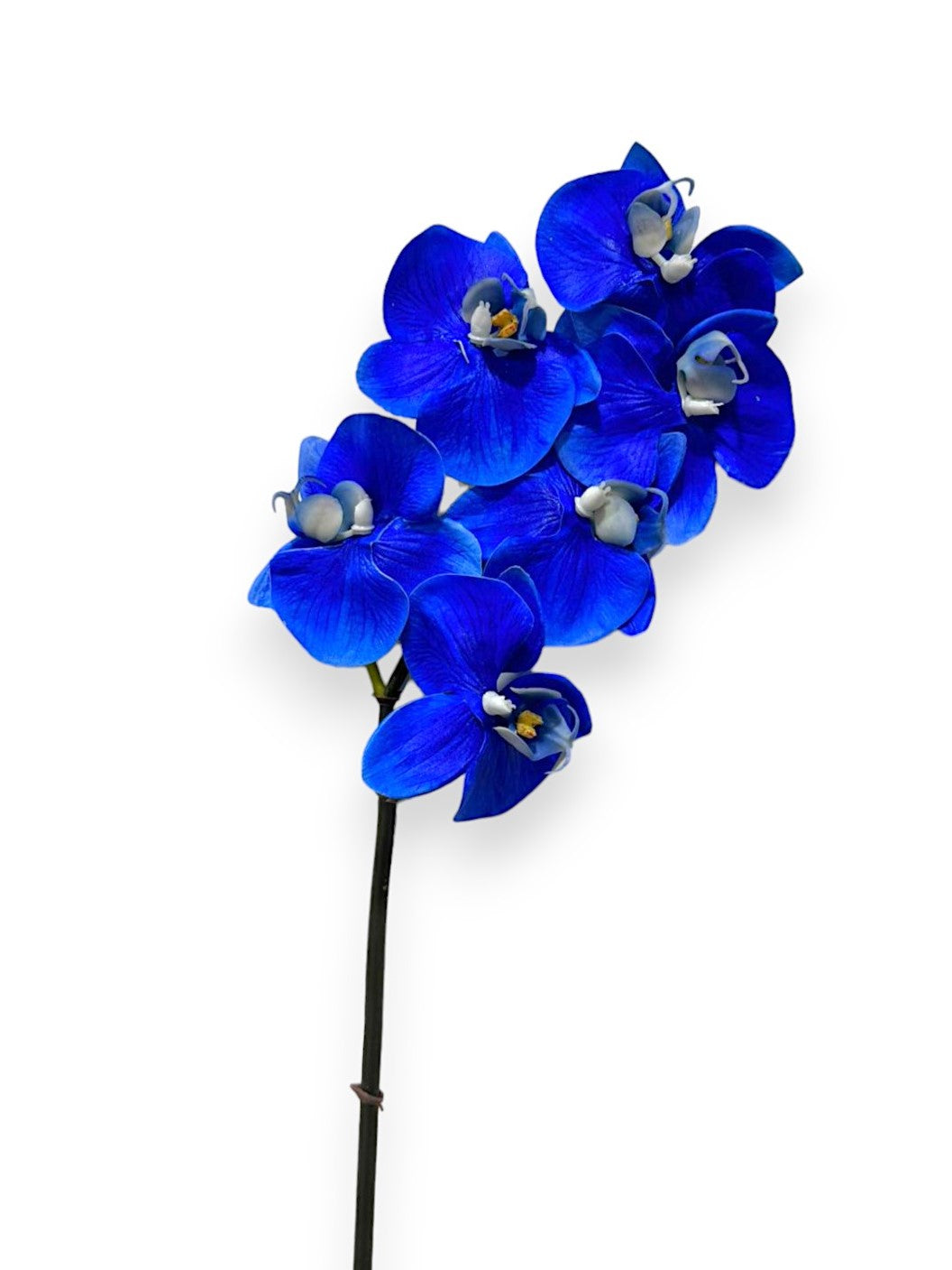 ORCHID PHAL.X6 22" SMALL Chan's Silk Flowers, inc