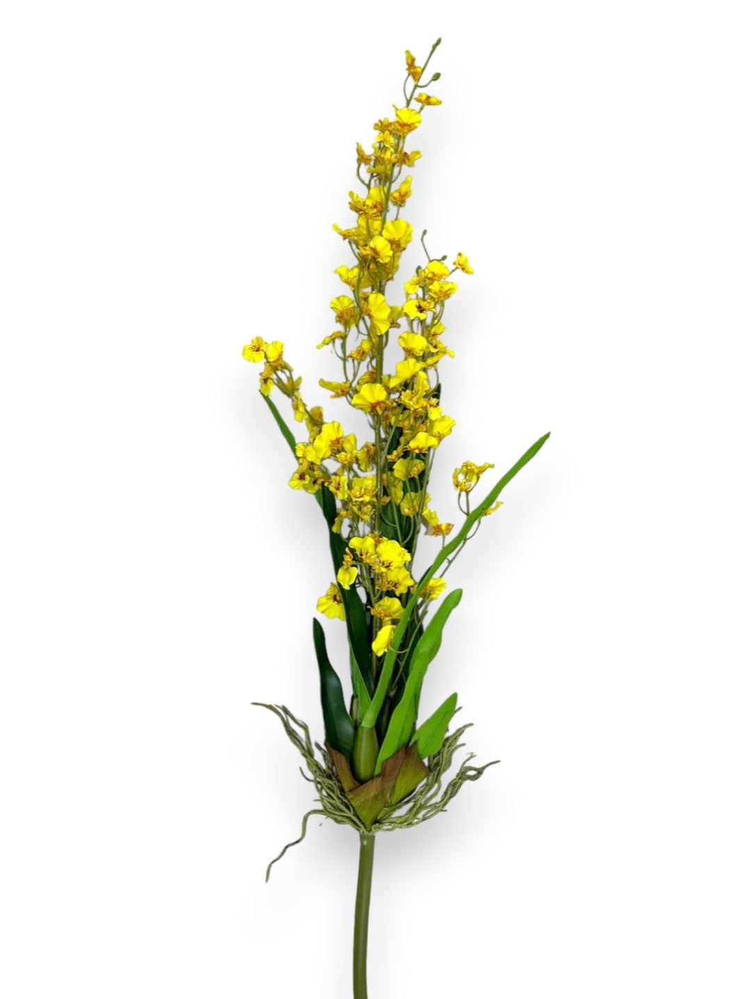 ORCHID DANCING PLANT 32"