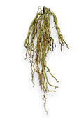 ORCHID ROOTS 18"