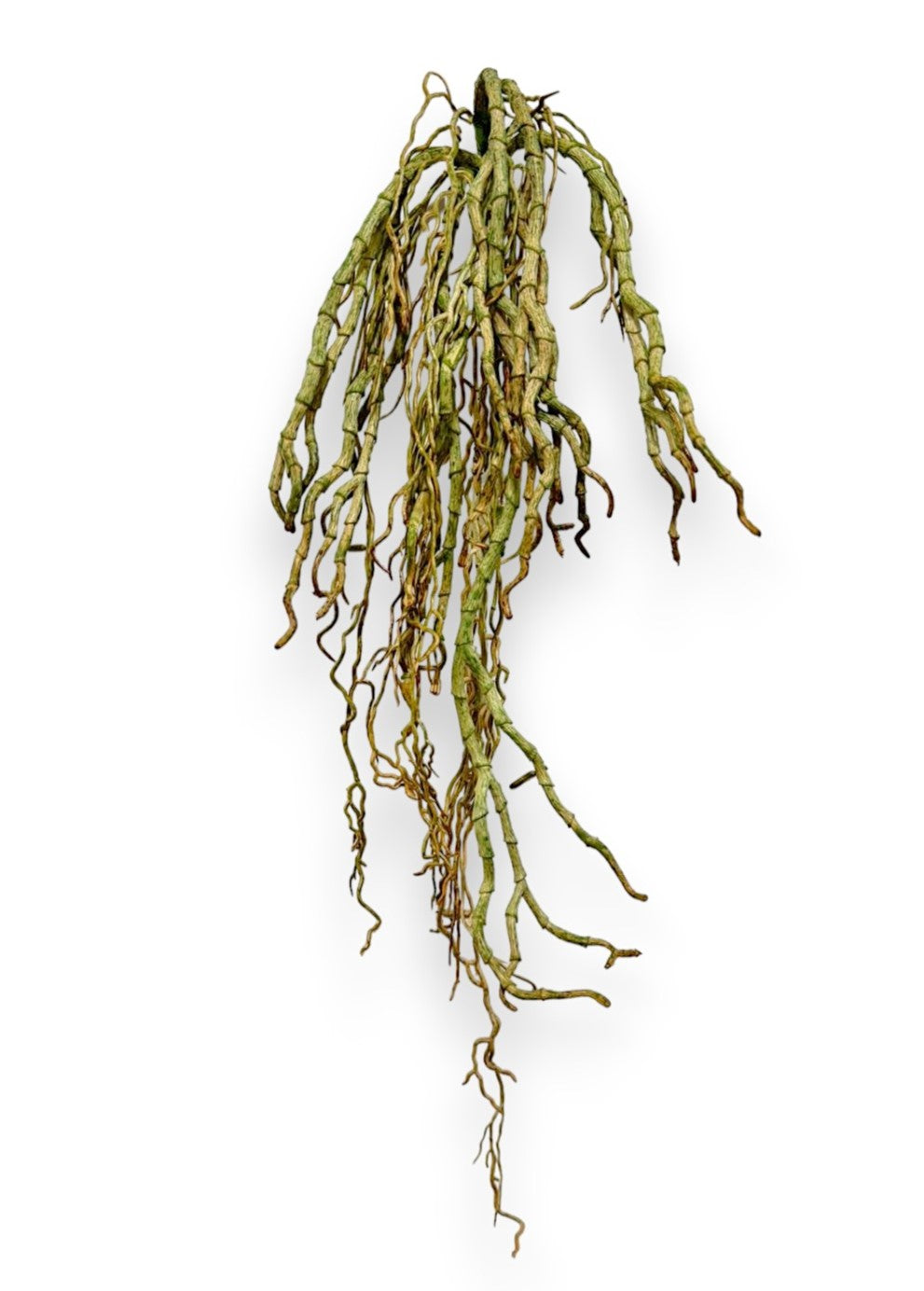 ORCHID ROOTS 18"