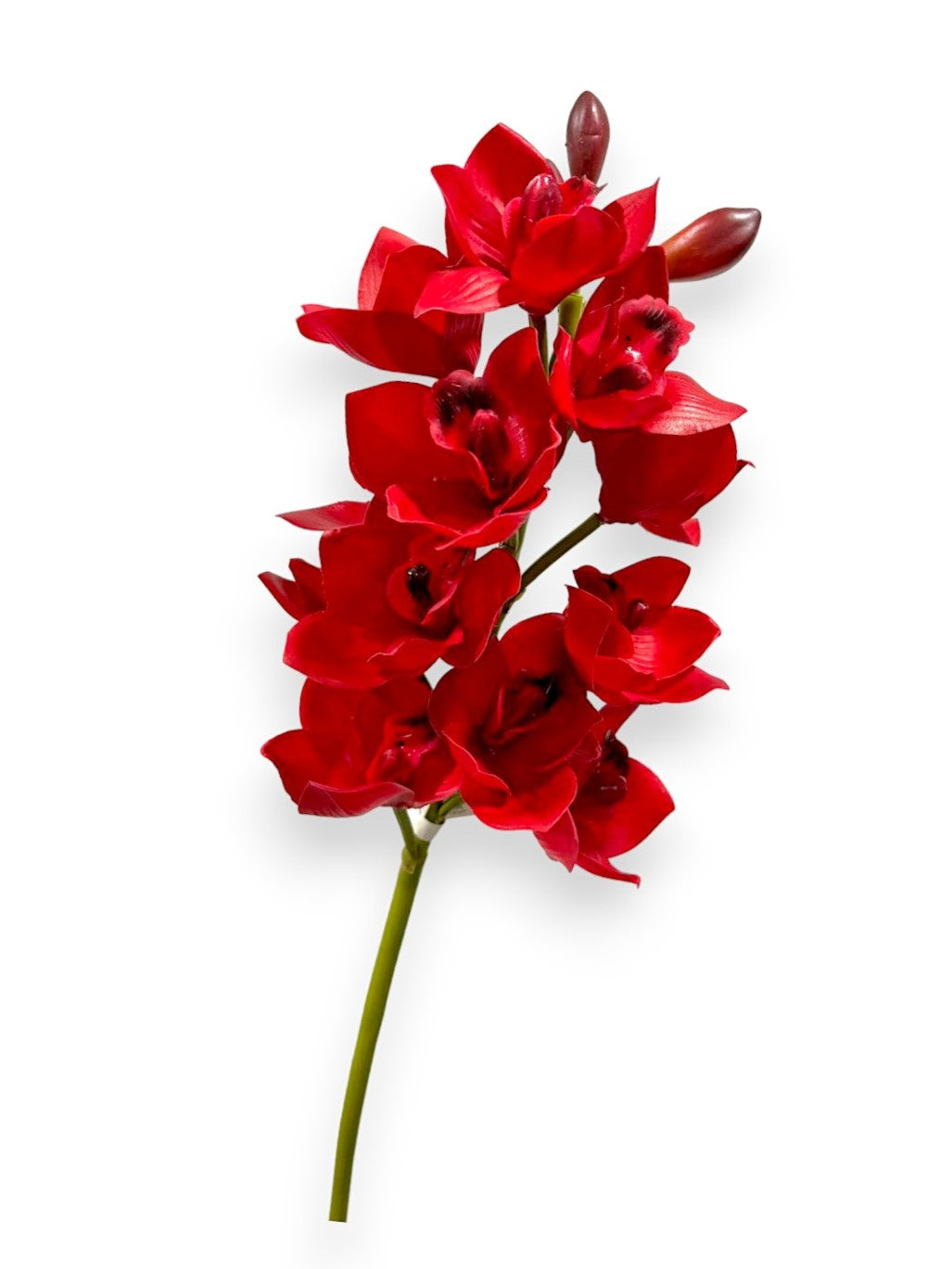 Cymbidium Orchid Stem 27"