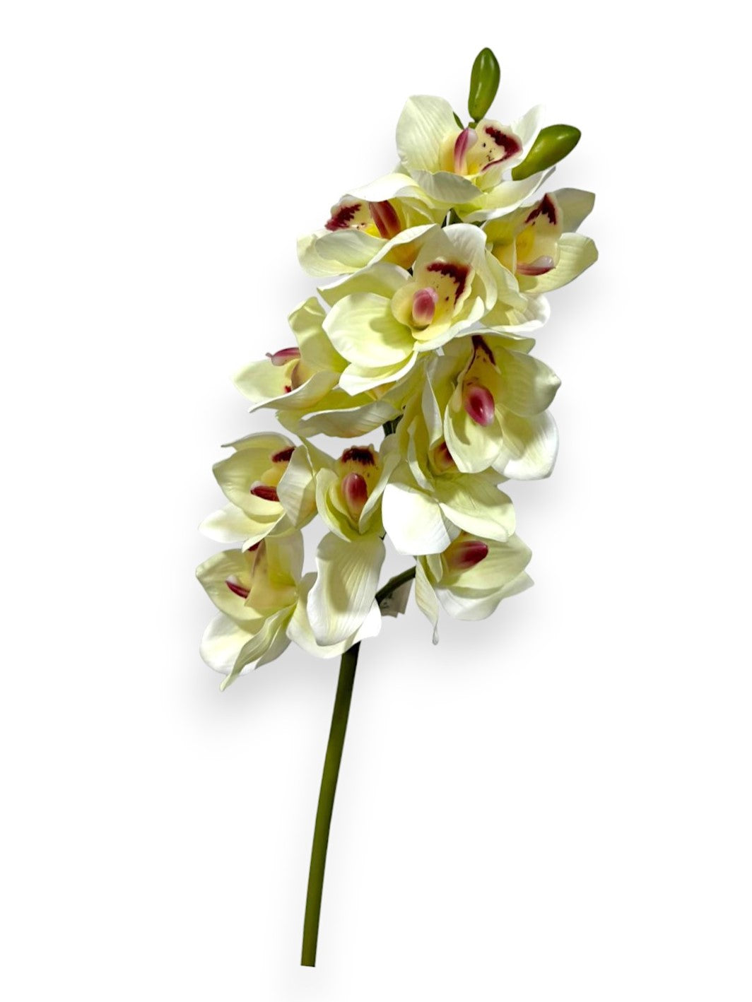 Cymbidium Orchid Stem 27"