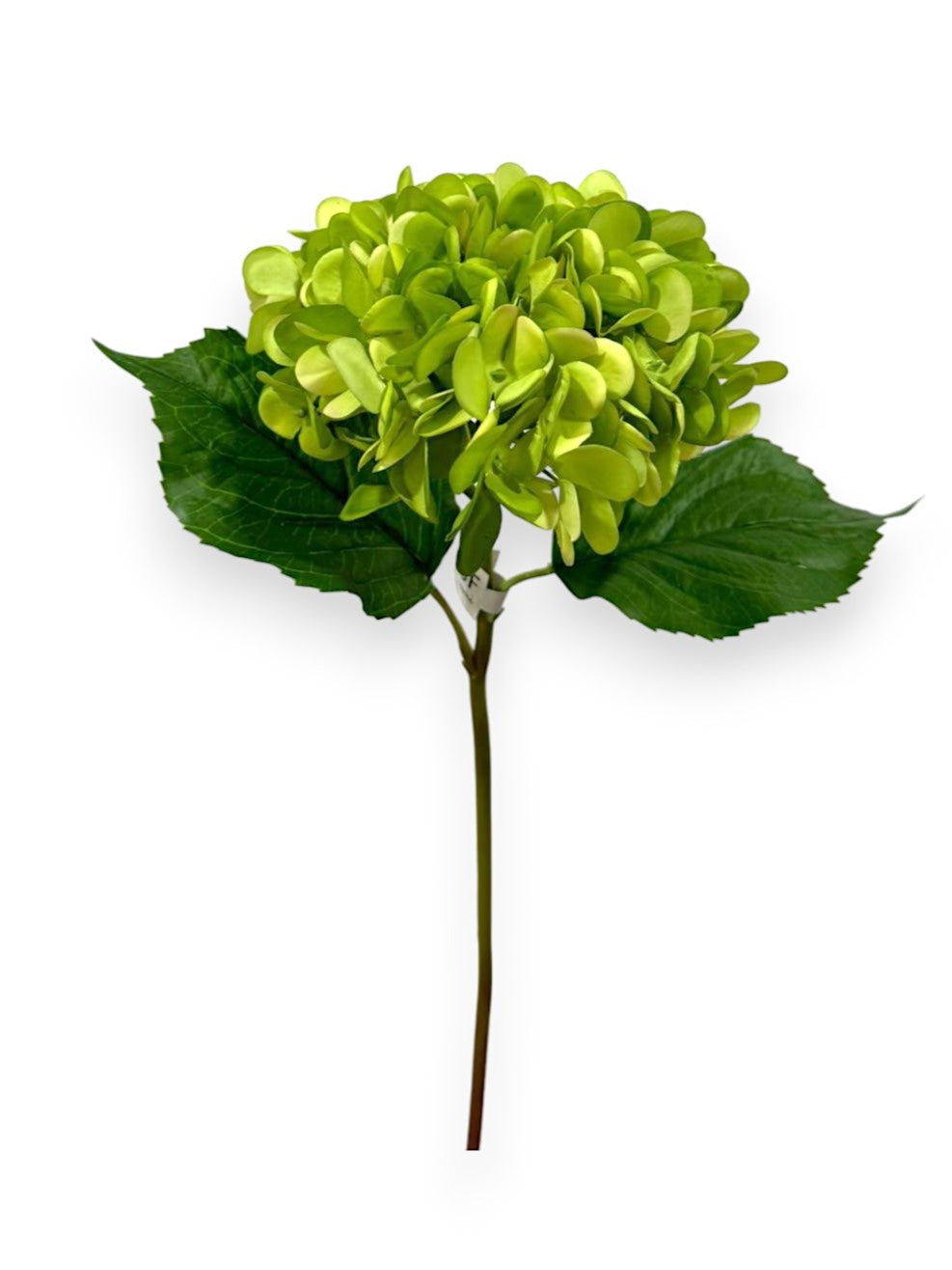 HYDRANGEA S 22"