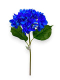 HYDRANGEA S 22"