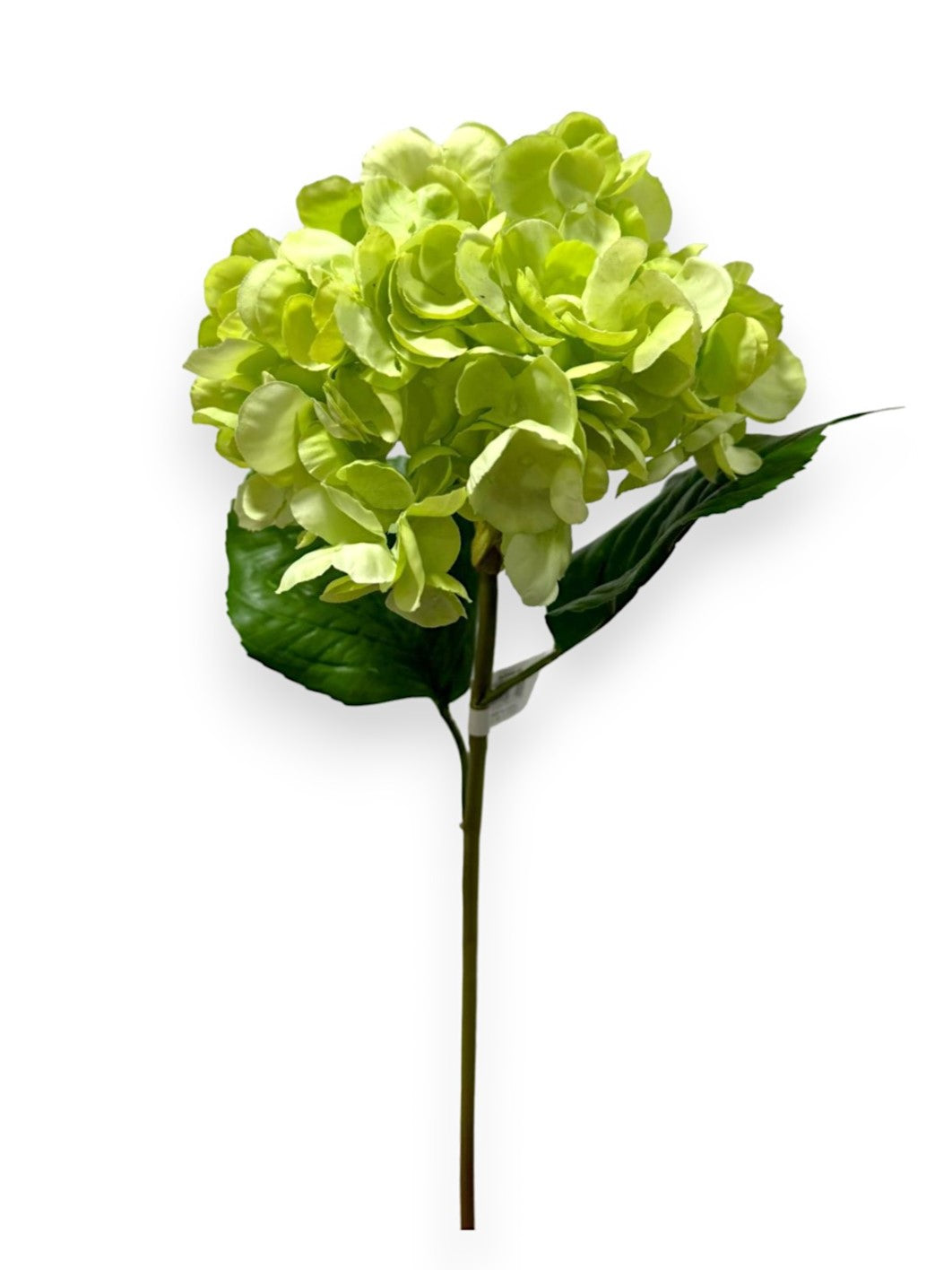 HYDRANGEA STEM NAT. 22"