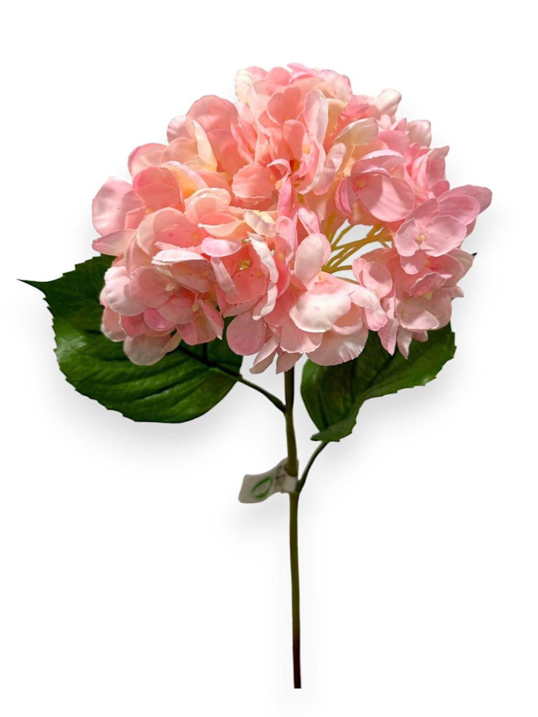 HYDRANGEA STEM NAT. 22"