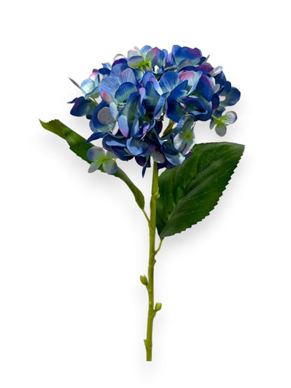 HYDRANGEA 24"