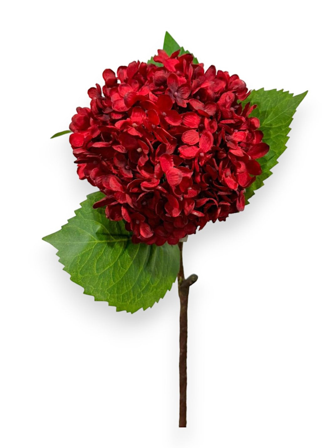 DRY LOOK HYDRANGEA 29"