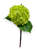 DRY LOOK HYDRANGEA 29"