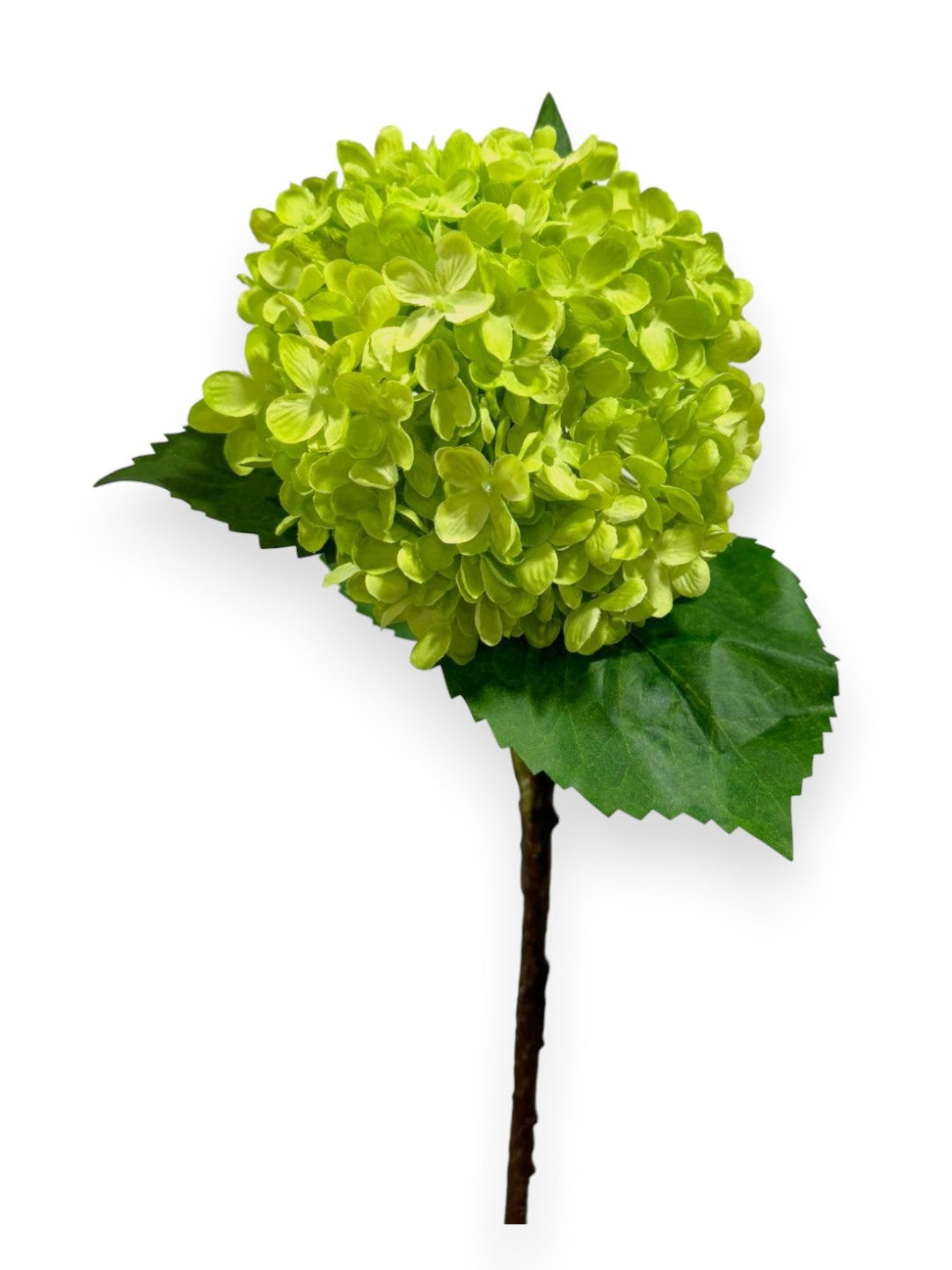 DRY LOOK HYDRANGEA 29"