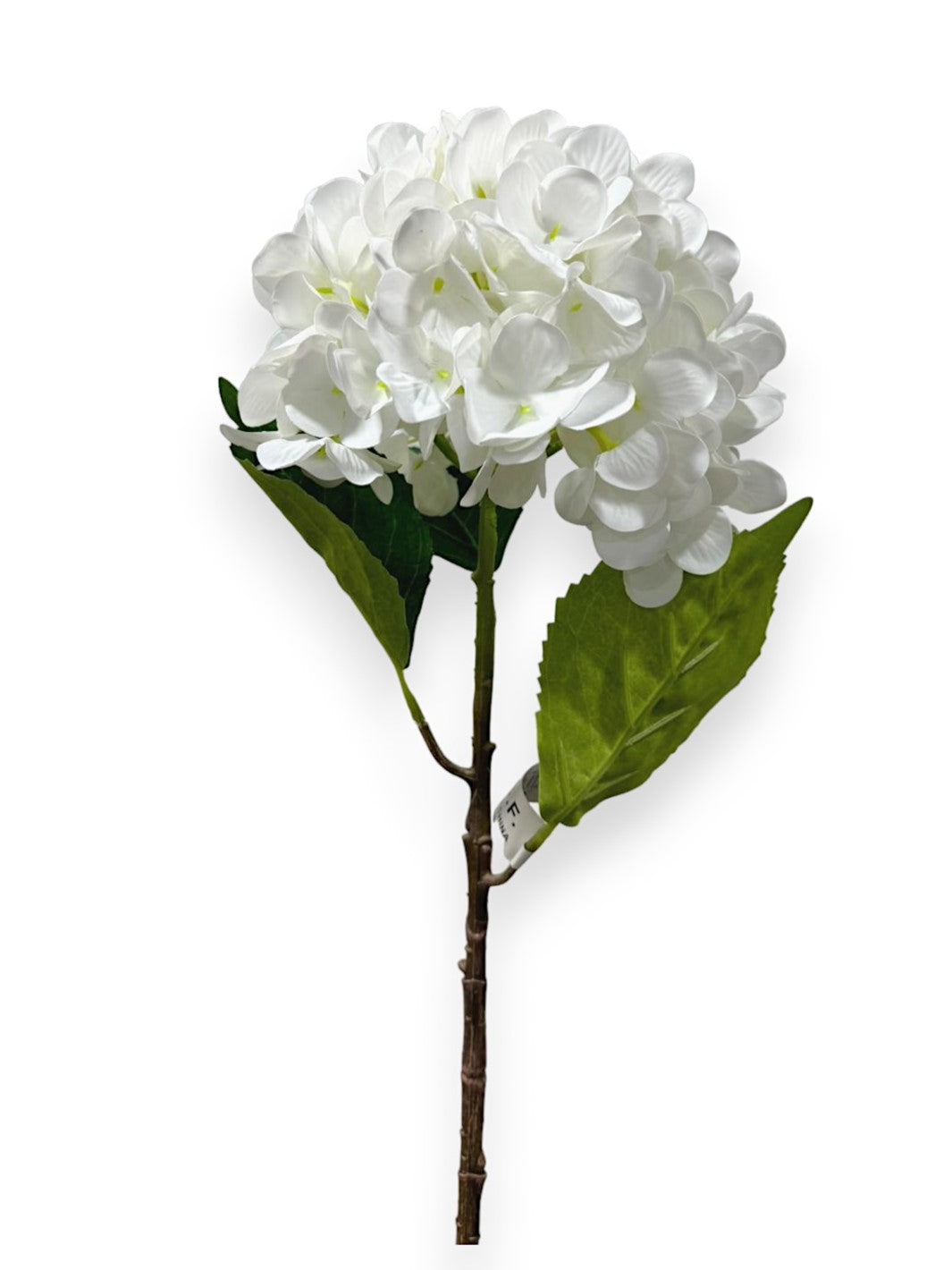 HYDRANGEA STEM 22"