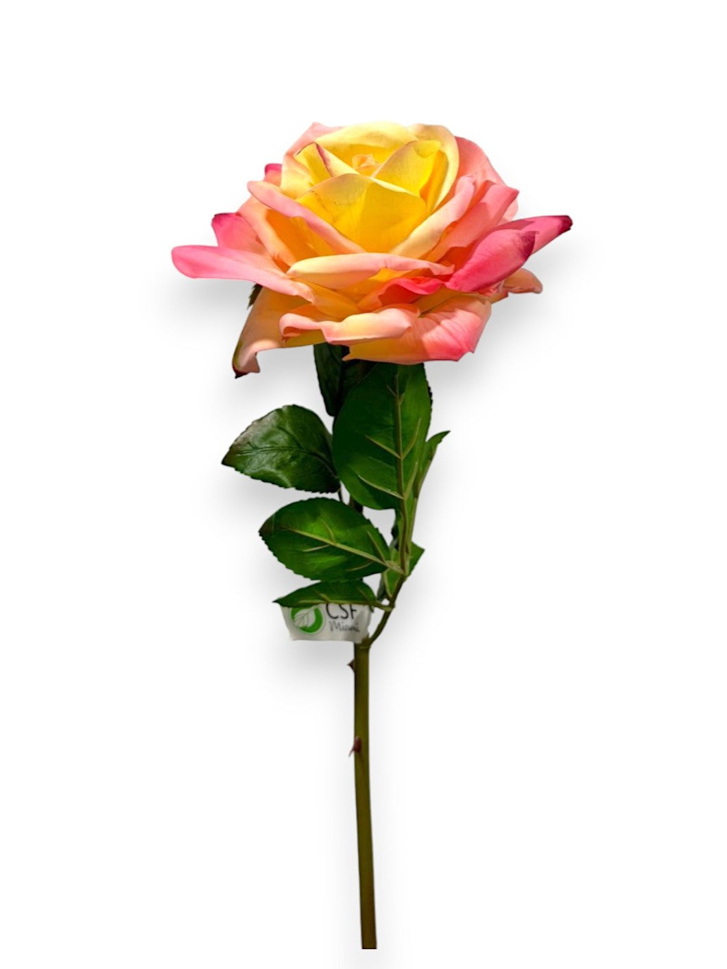 ROSE STEM NAT.TOUCH 25