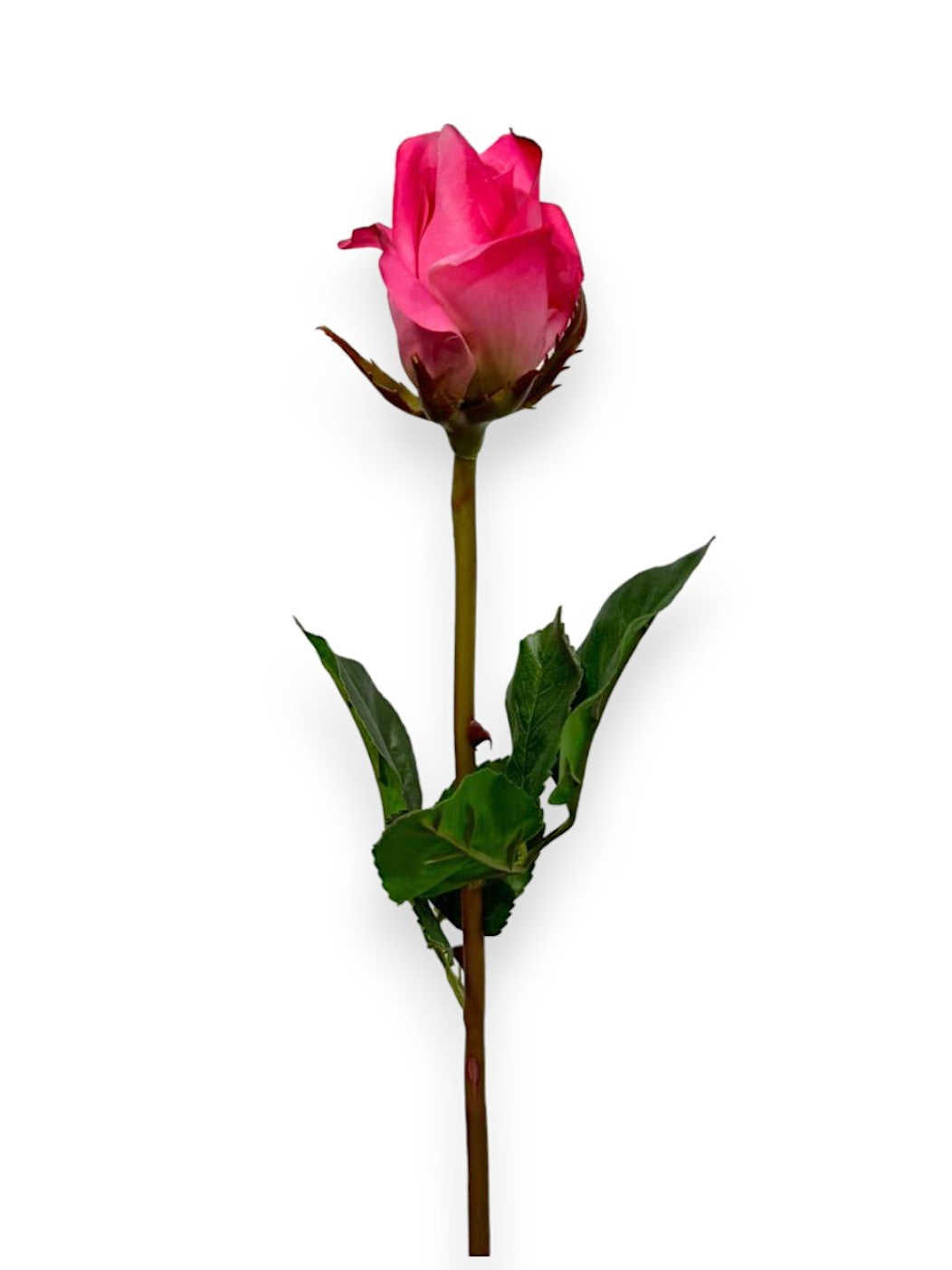 Rose Bud Stem 22.5"