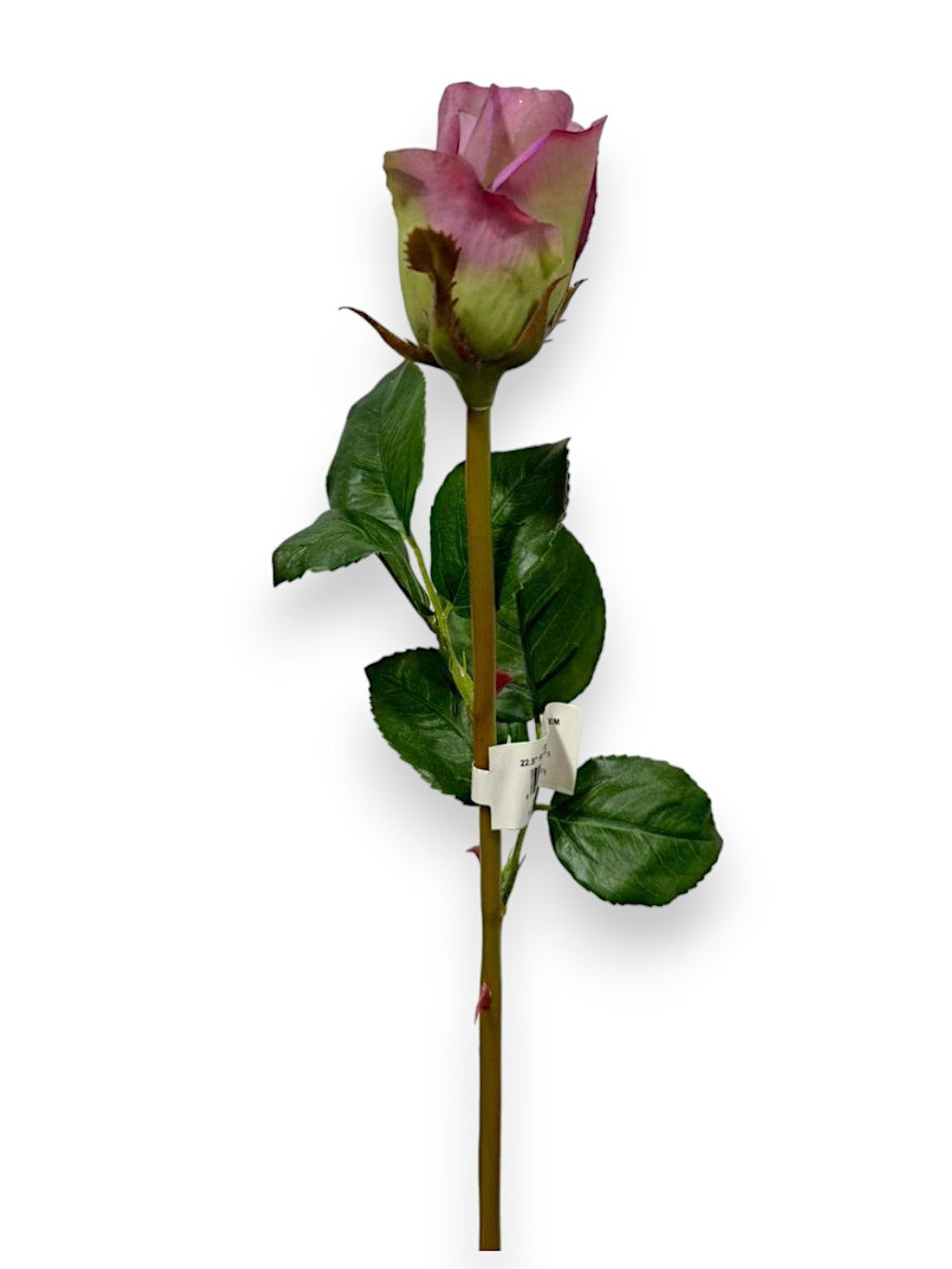 Rose Bud Stem 22.5"