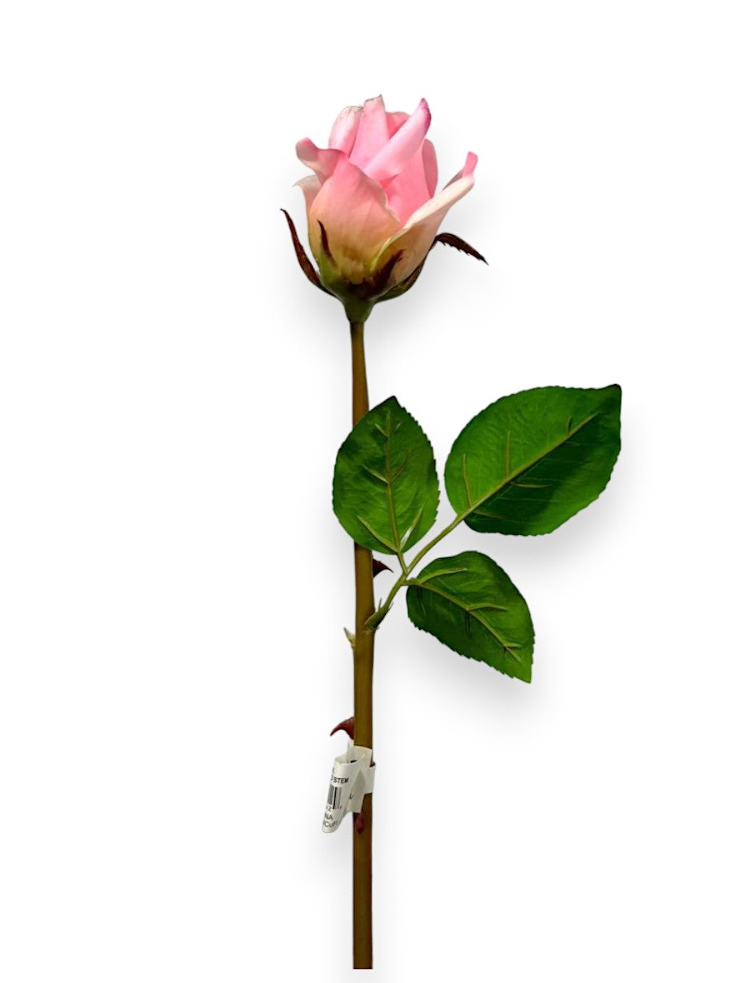 Rose Bud Stem 22.5"