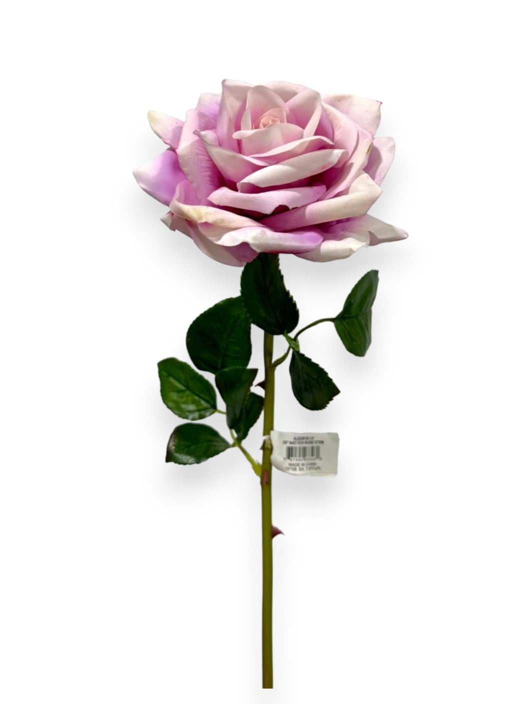 ROSE STEM NAT.TOUCH 25