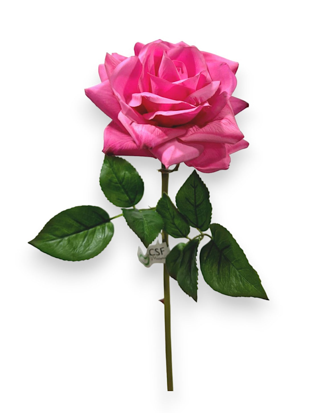 ROSE STEM NAT.TOUCH 25