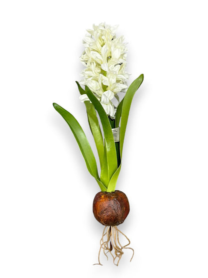 HYACINTH PLANT 14"