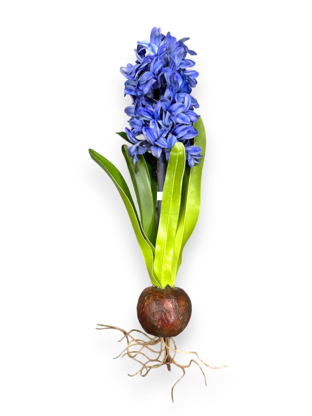 HYACINTH PLANT 14"
