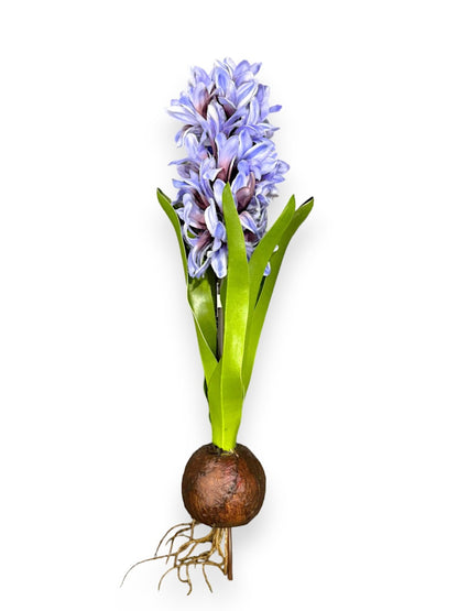 HYACINTH PLANT 14"