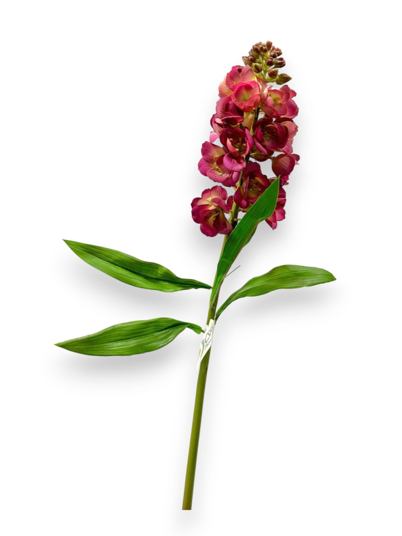 PERSIAN LILY SPRAY 27"