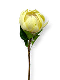 KING PROTEA SINGLE