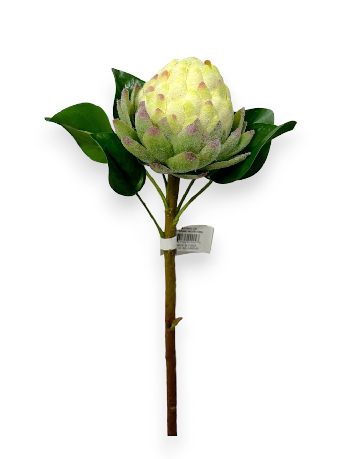 PROTEA KING ROUND 16"