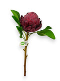 PROTEA KING ROUND 16"
