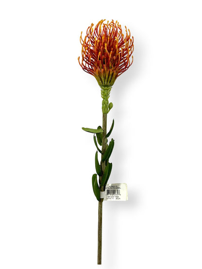 PROTEA PINCUSHION L 25"