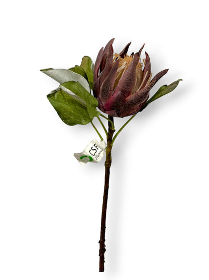 DRIED PROTEA KING S 16"