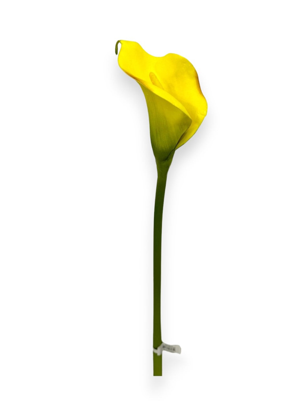 EVA CALLA LILY 29"