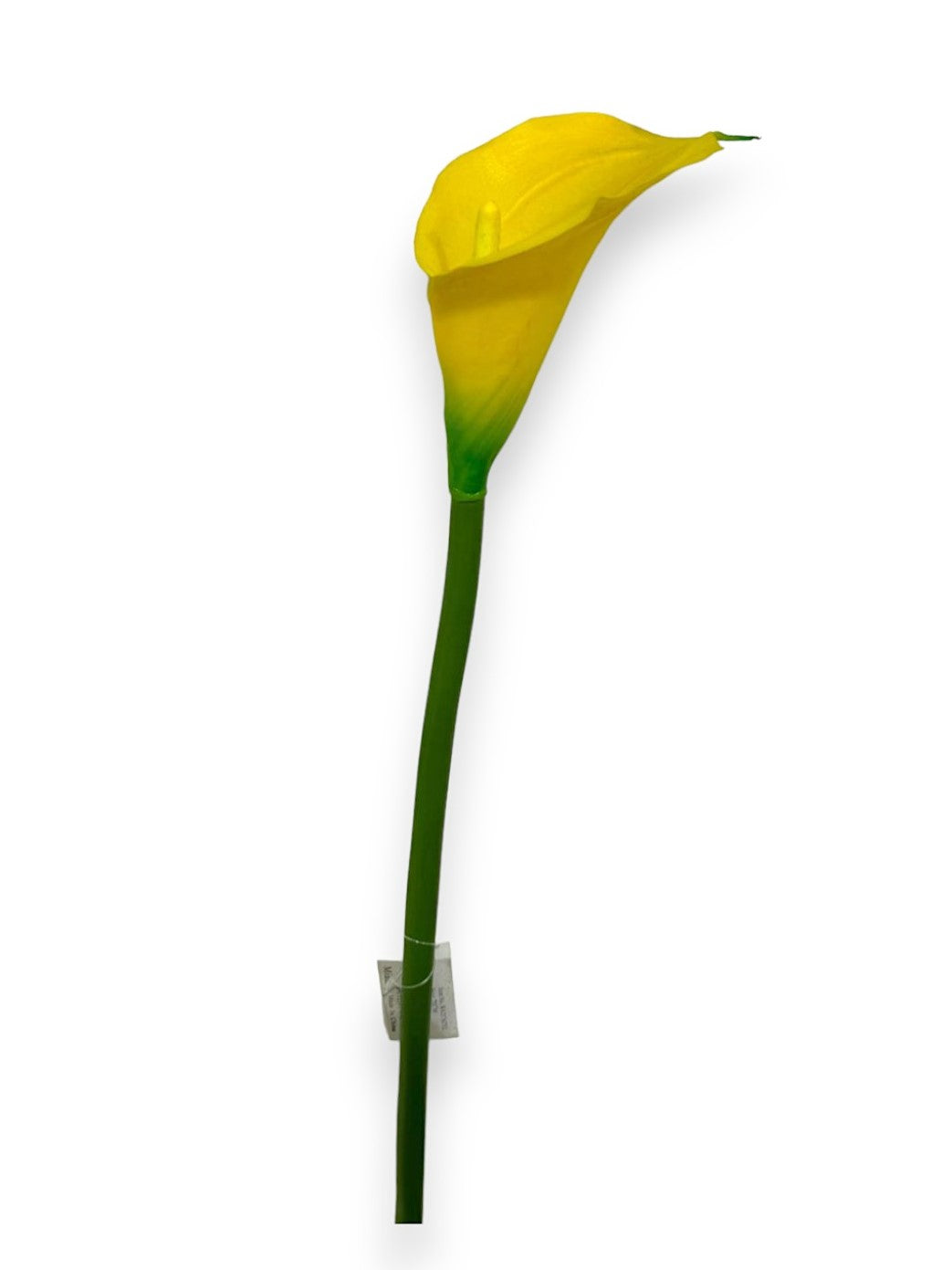 CALLA LILY SINGLE 28"