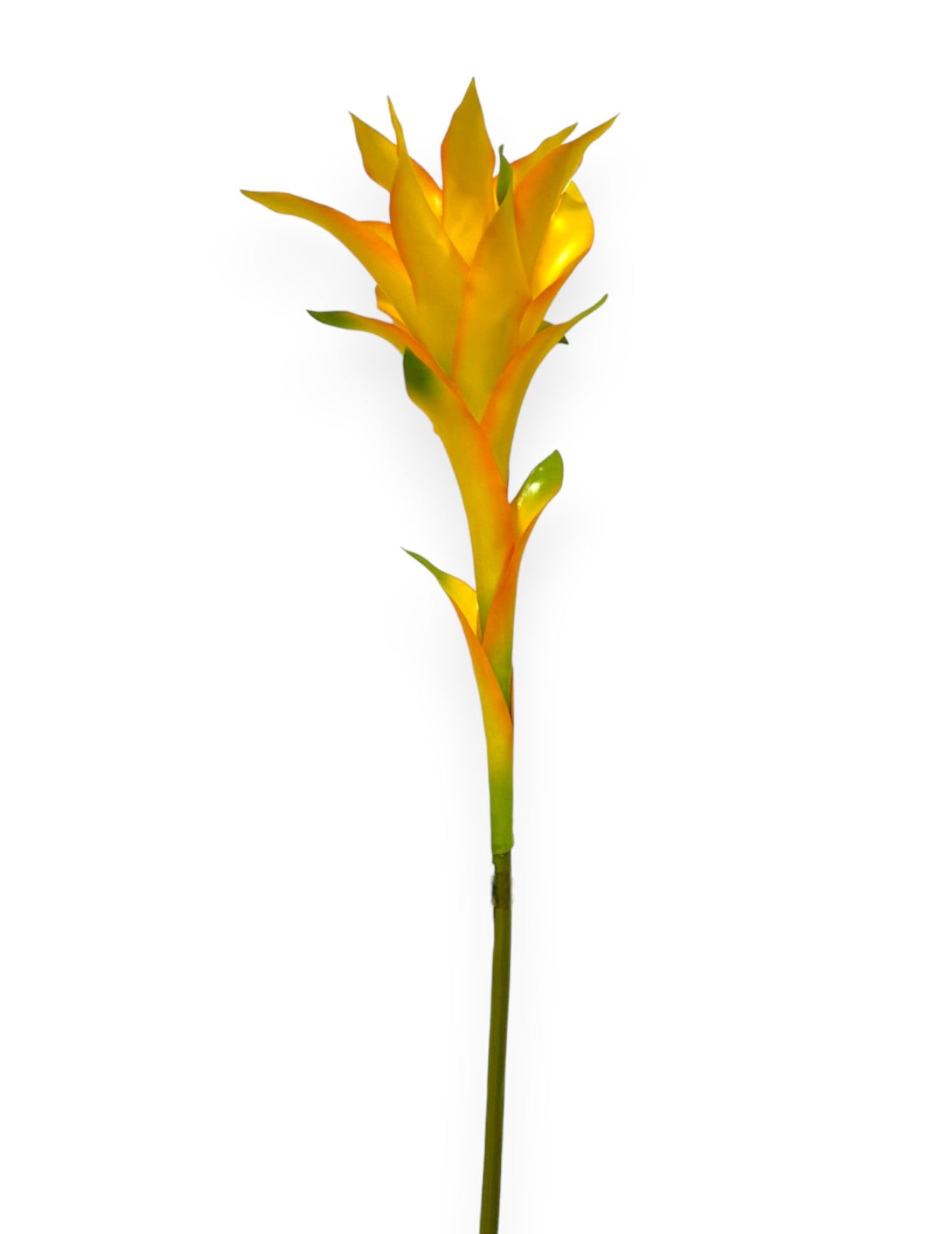 Bromelia Scarlet Star Bloom 34"