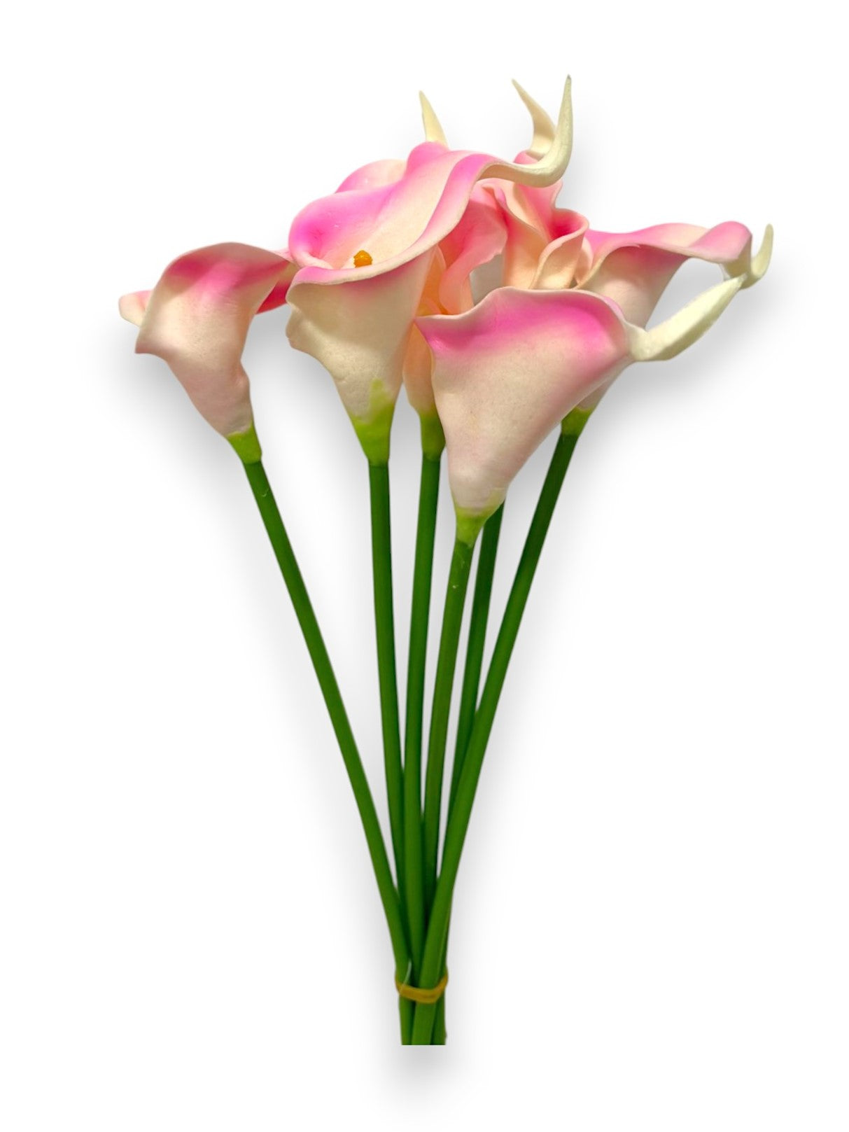 MINI CALLA BUNDLE X6
